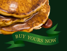 Buy Your Troyers Pancake Mix Now!